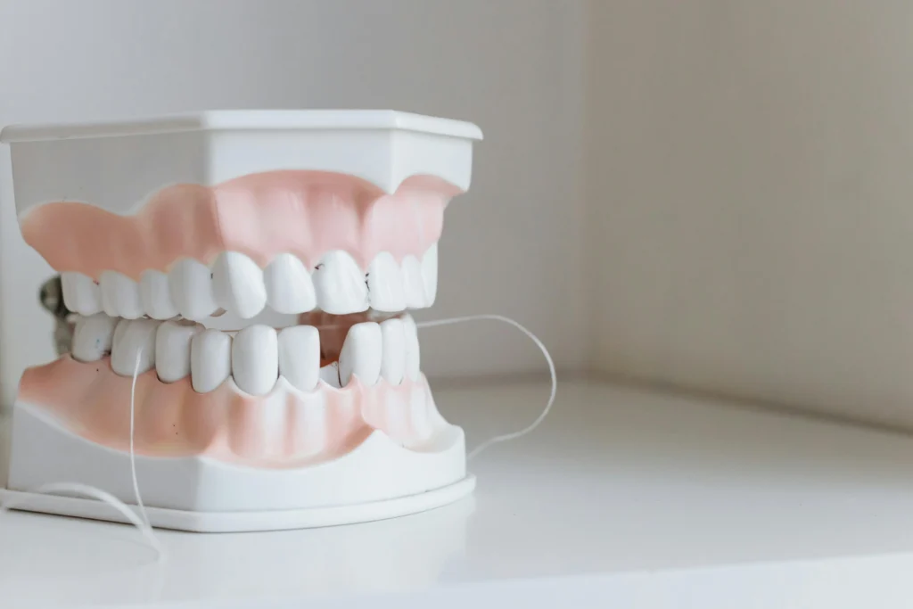 Imagen de dentadura de plástico con hilo dental usada para página de odontología conservadora
