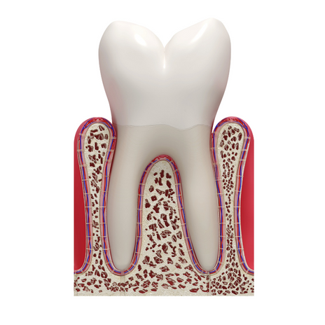 te explicamos las causas más habituales por las que se te mueve un diente y los tratamientos